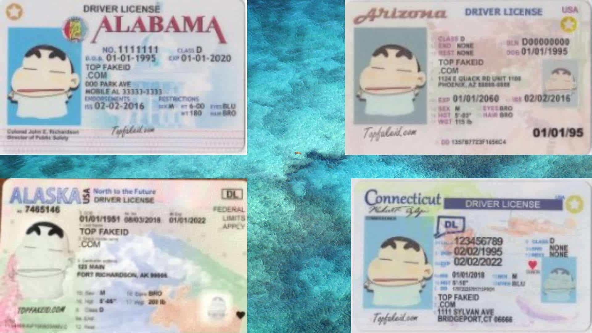 Fake ID Websites