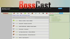 Bosscast